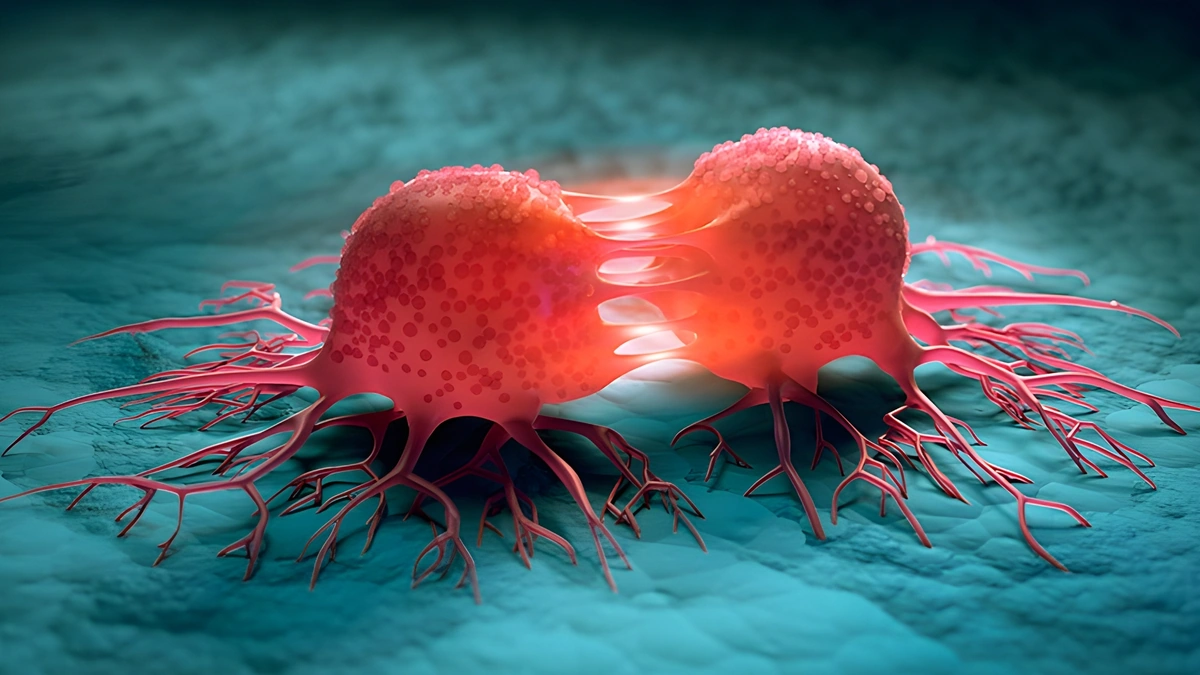 Symptoms that could be a warning of cancer