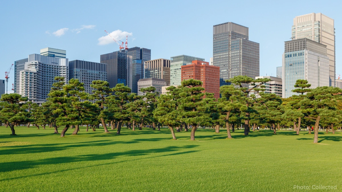 Home Gardening in Urban Spaces: How City Residents Are Turning Small Areas into Green Havens