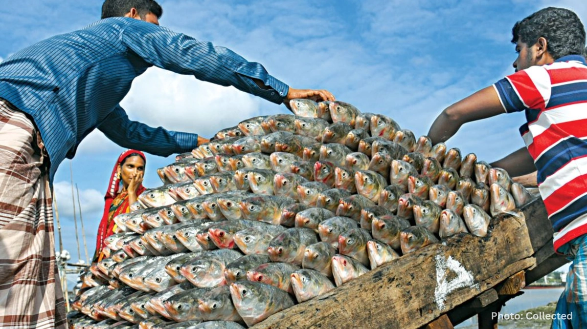 Bangladesh Proposes First-Ever Fisheries Insurance Scheme in Budget 2026-27