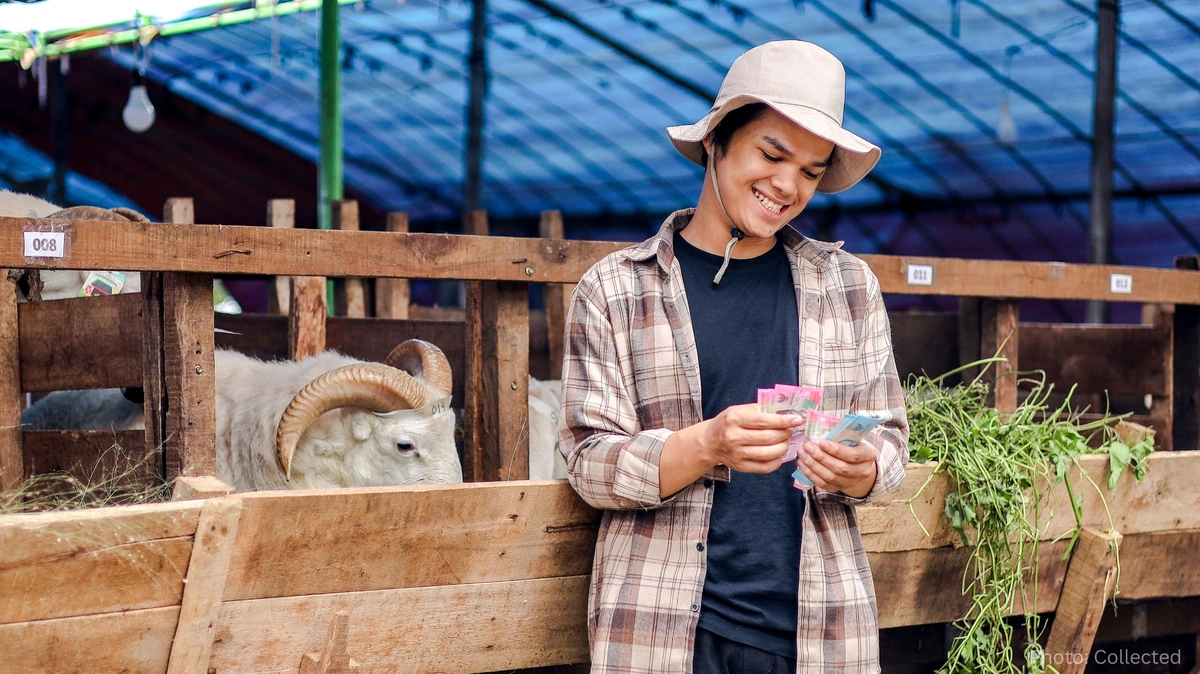 Boosting Agricultural Income: Practical Farming Tips to Improve Productivity and Profitability