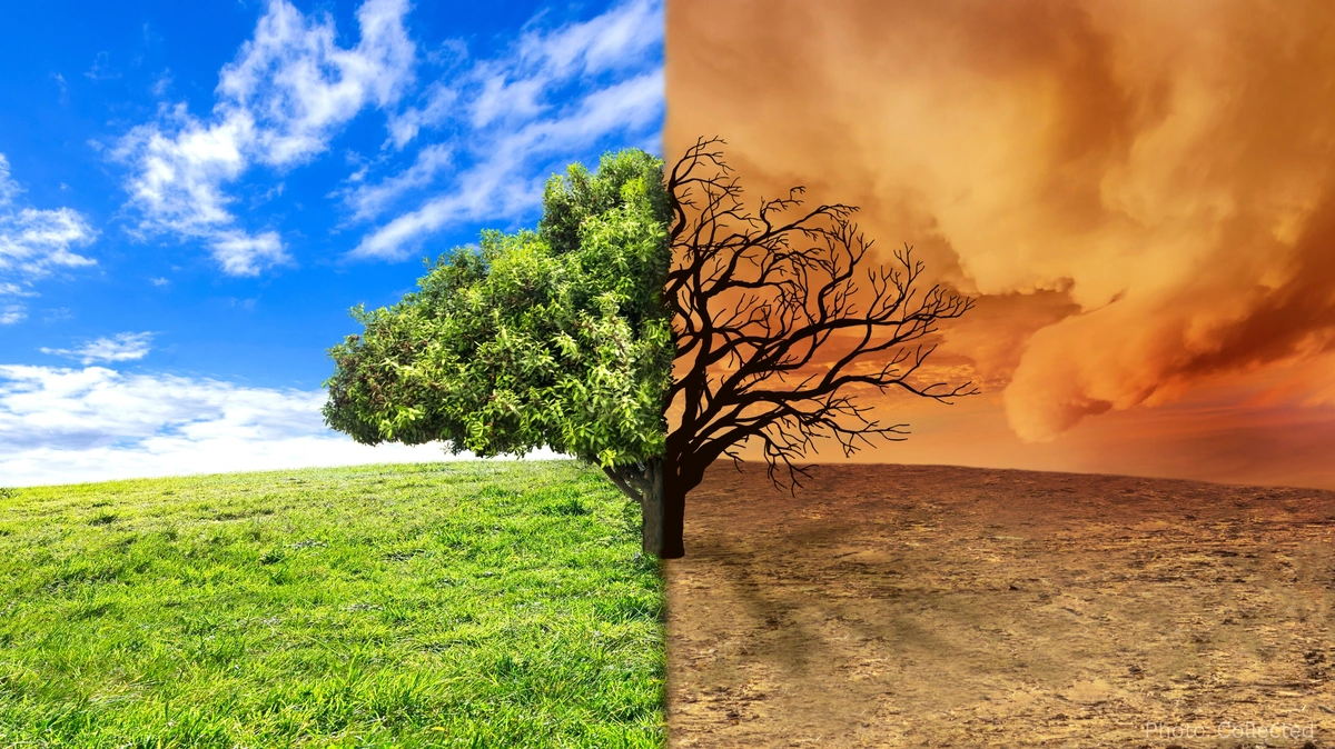 Climate Migration and Internal Displacement Rise as Environmental Pressures Reshape Human Settlement