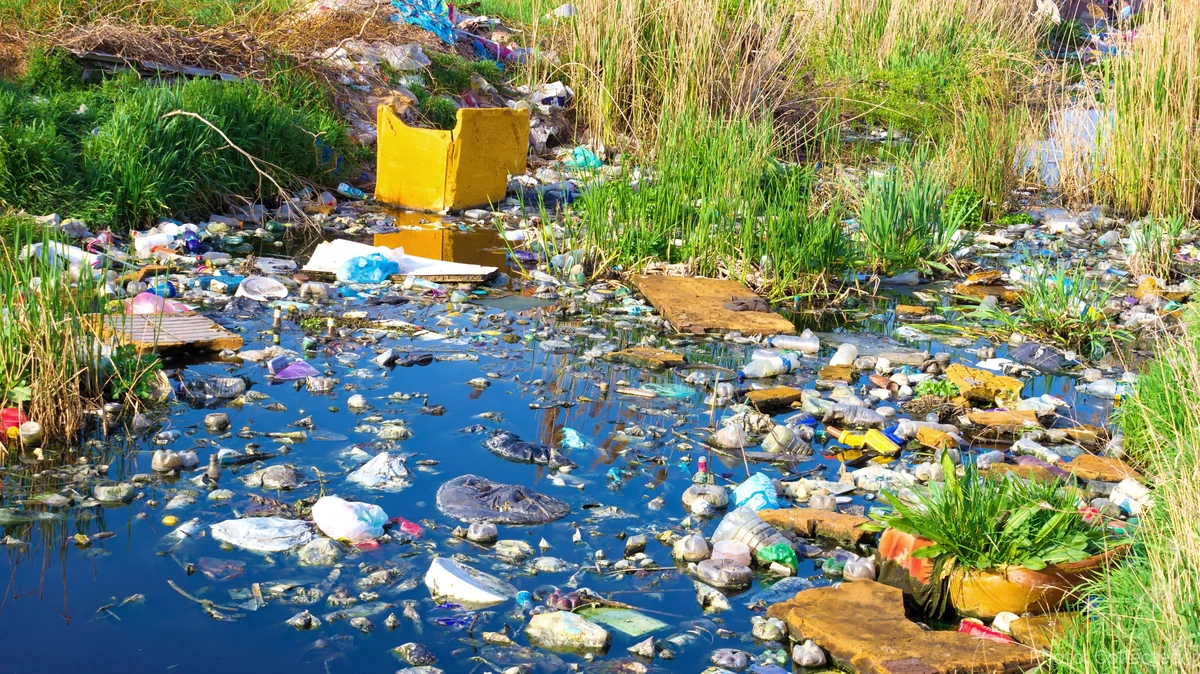 Plastic Pollution in Rivers Reaches Alarming Levels, Threatening Ecosystems and Public Health