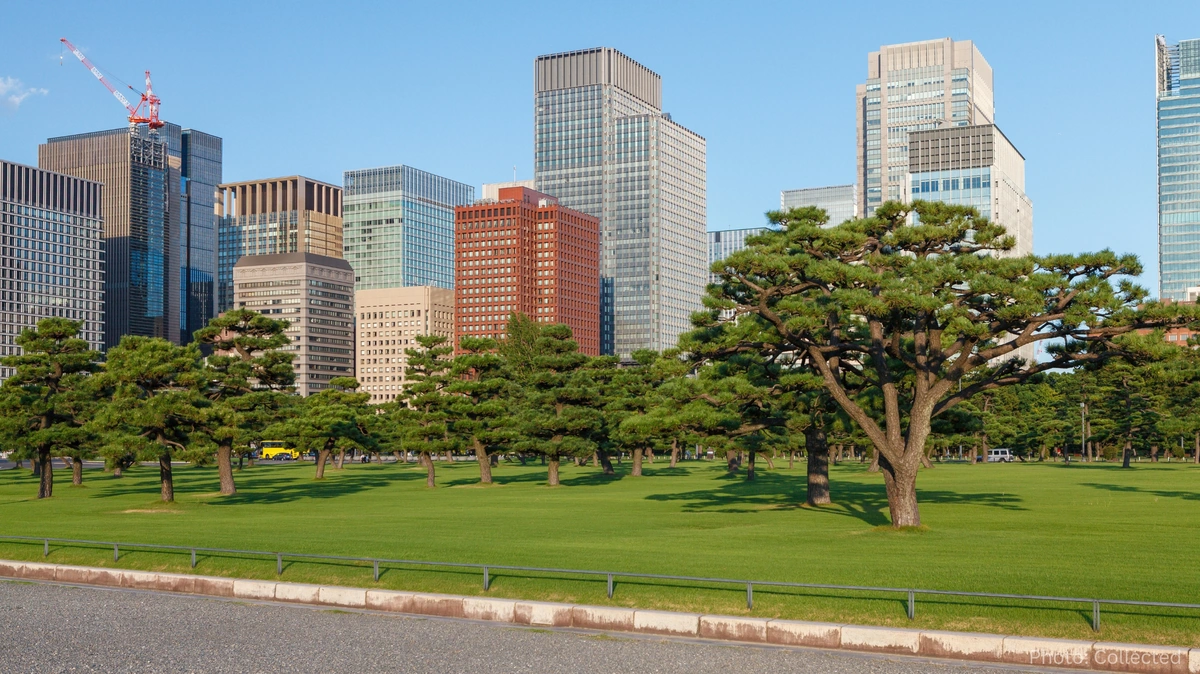 Urban Green Spaces and Parks Gain Importance as Cities Prioritize Livability and Climate Resilience