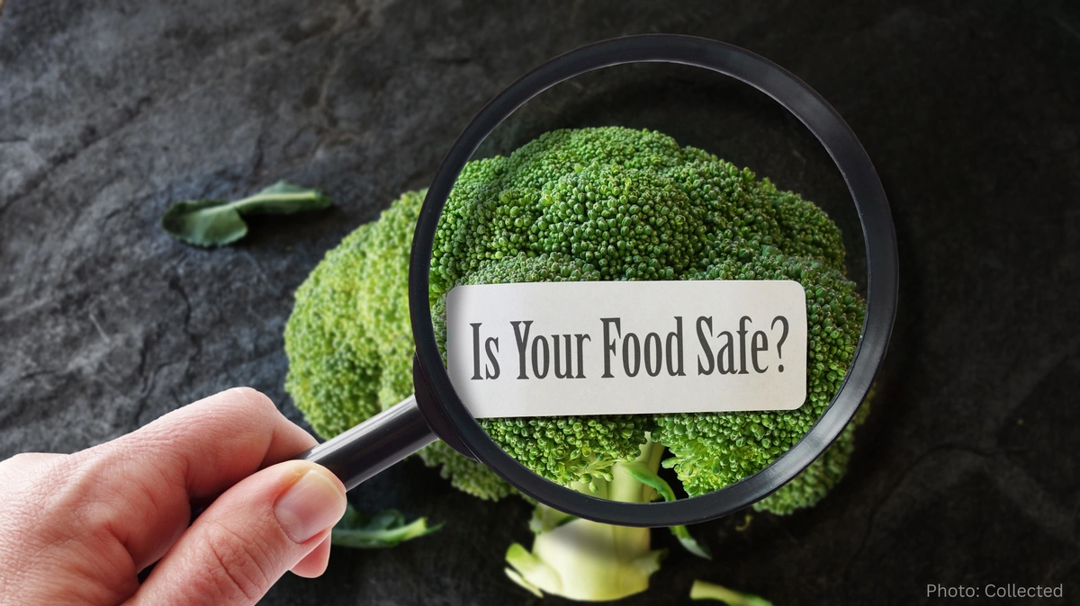 Food Adulteration and Safety Awareness: Protecting Public Health Through Informed Choices