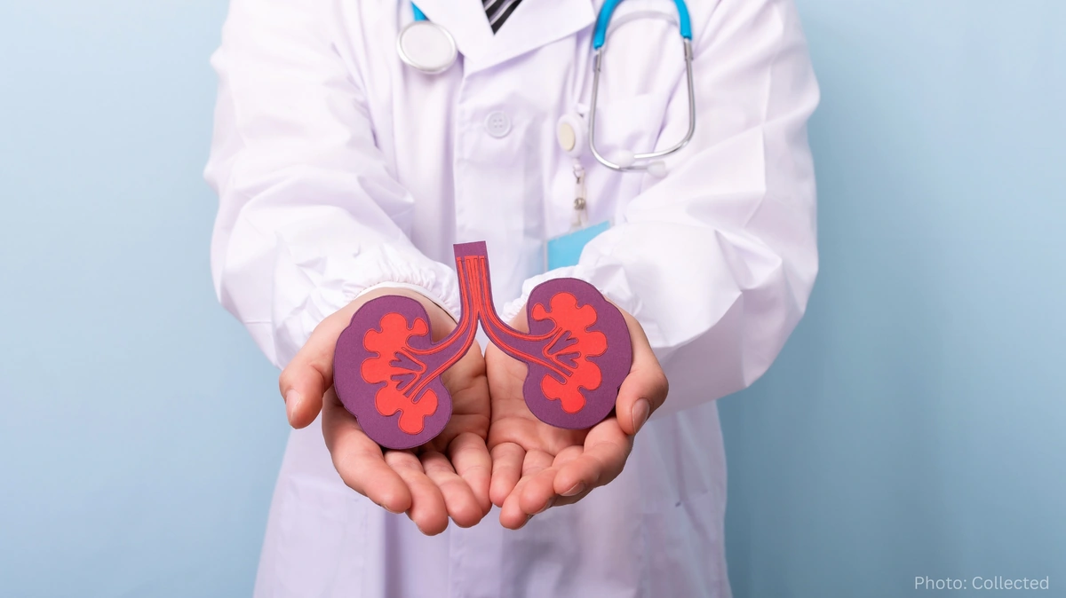 Rising Kidney Disease Cases Highlight Need for Greater Awareness and Early Detection