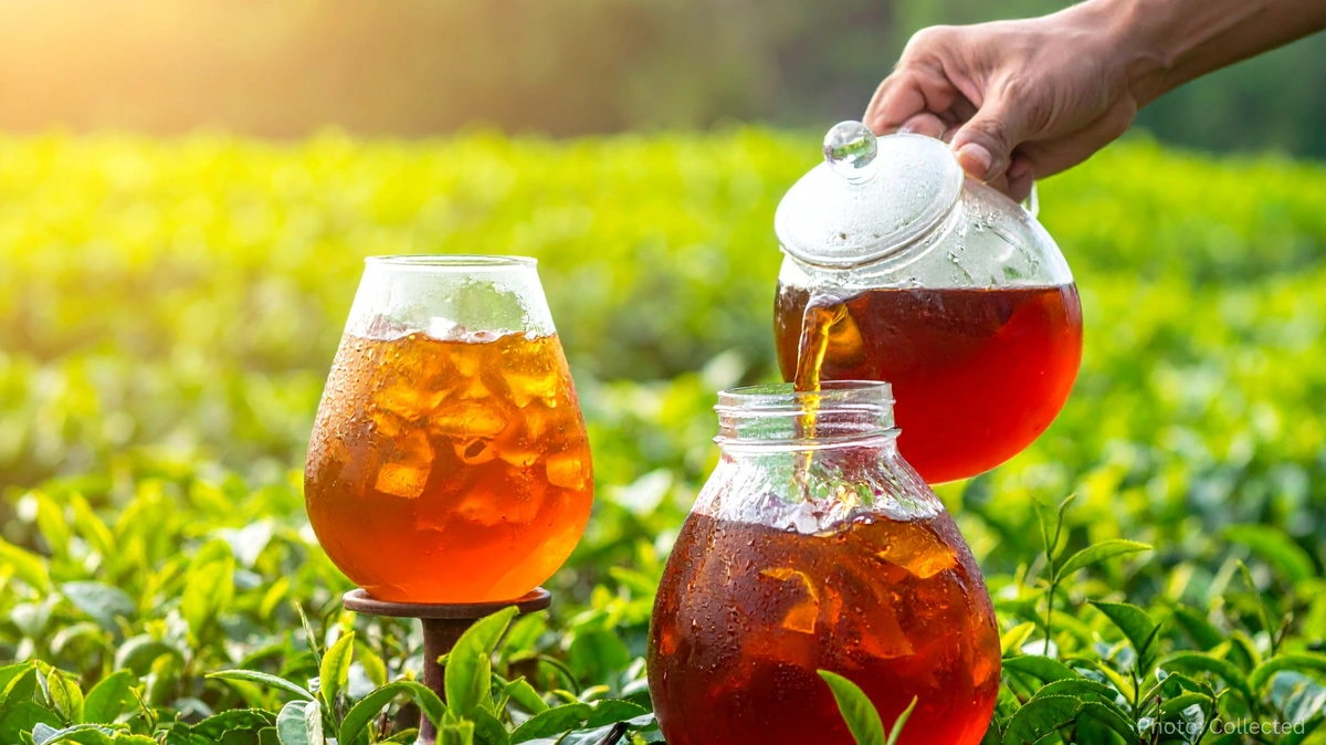 Tea Culture in Bangladesh: Sylhet’s Plantations and the Nation’s Everyday Chai Tradition