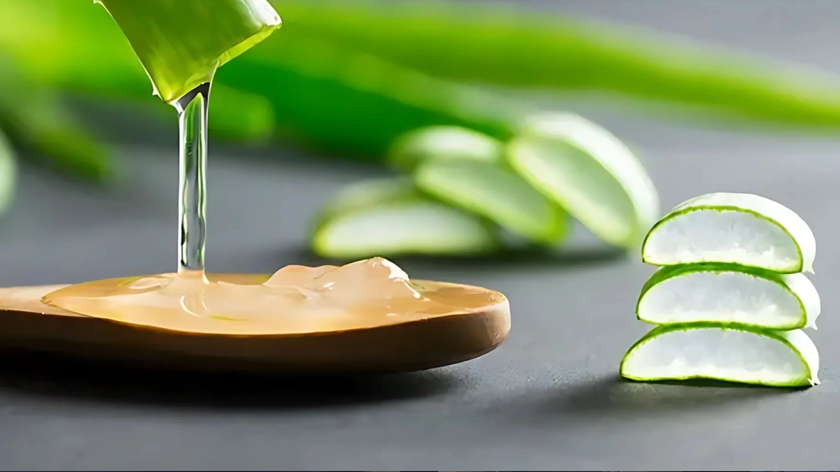 Best herbal aloe vera for skin care
