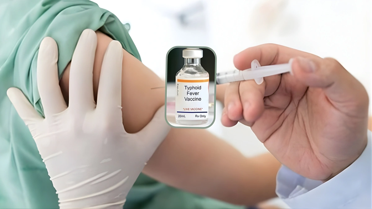 Is there any health risk associated with typhoid vaccines for children?