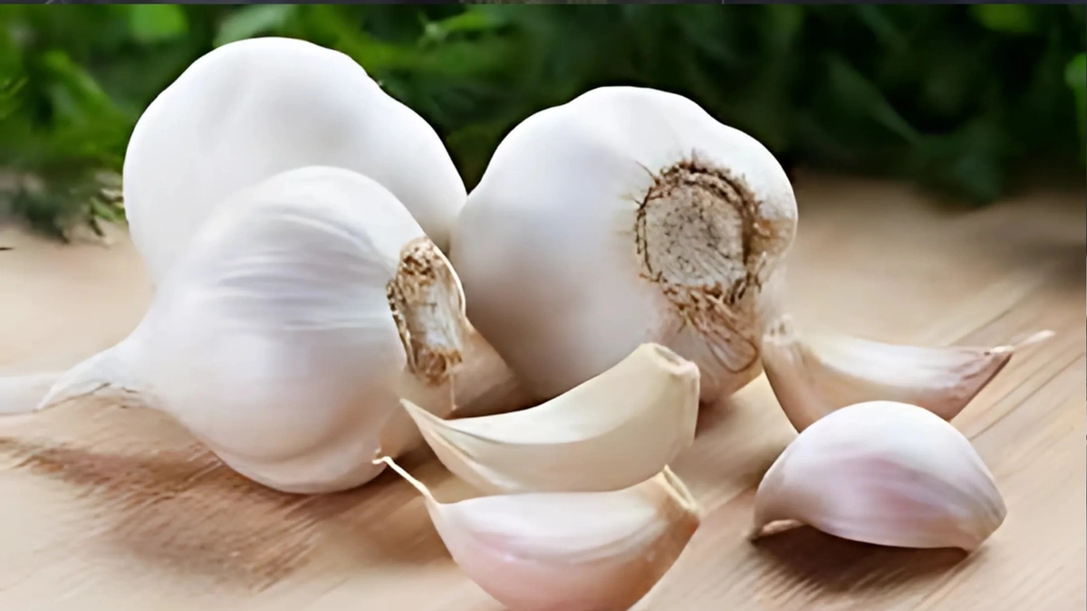 Benefits of Eating Garlic on an Empty Stomach